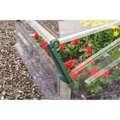 Double Cold Frame Greenhouse 3